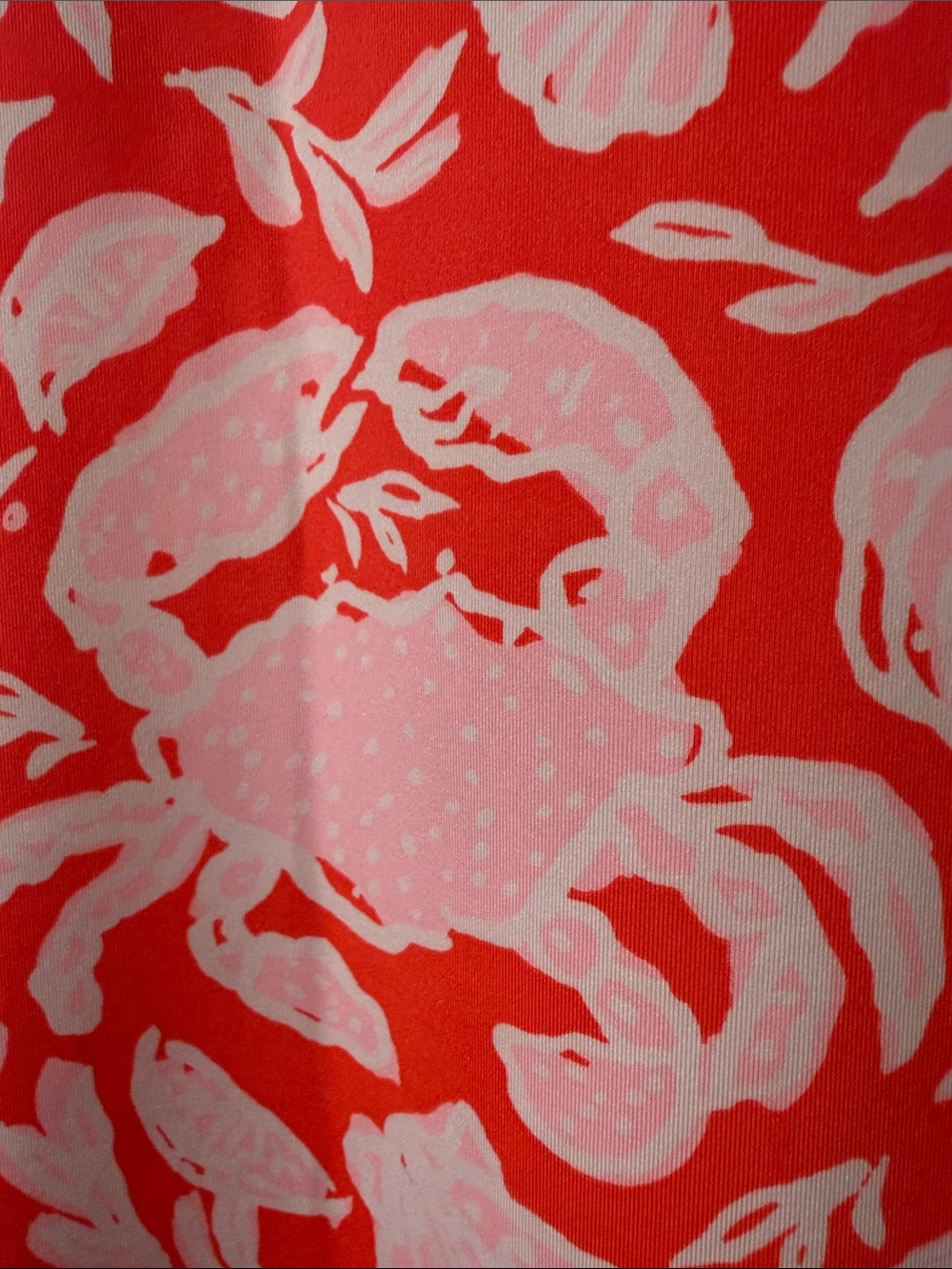 πΈππ¦ Lilly Pulitzer Talli V-Neck Cover-Up - Picture 3 of 12